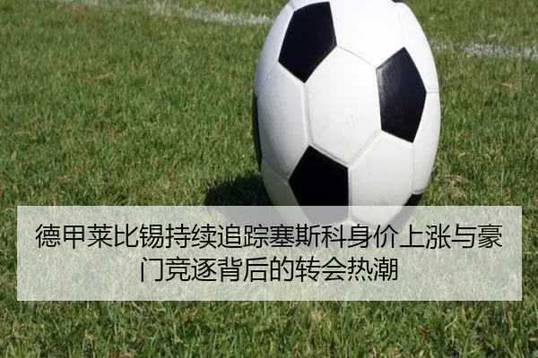 德甲莱比锡持续追踪塞斯科身价上涨与豪门竞逐背后的转会热潮 - kaiyun